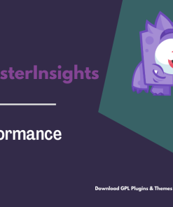 MonsterInsights – Performance Addon