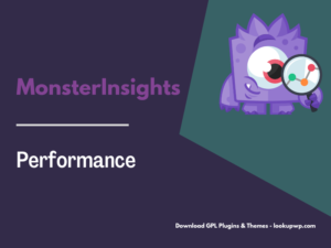MonsterInsights – Performance Addon