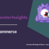 MonsterInsights – eCommerce Addon