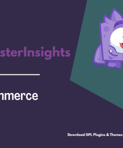 MonsterInsights – eCommerce Addon