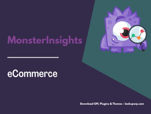 MonsterInsights – eCommerce Addon