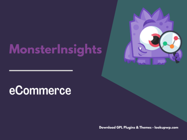 MonsterInsights – eCommerce Addon
