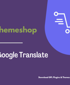 MyThemeShop WP Google Translate