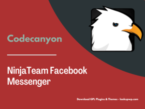 NinjaTeam Facebook Messenger