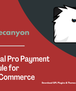 PayPal Pro Payment Module for WooCommerce