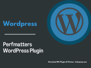 Perfmatters WordPress Plugin
