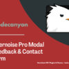 Usernoise Pro Modal Feedback & Contact form