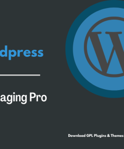 WP Staging Pro