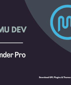 WPMU DEV Defender Pro