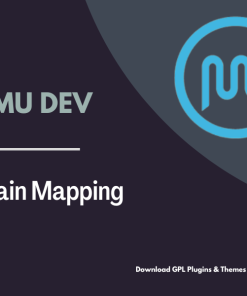 WPMU DEV Domain Mapping