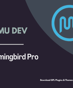 WPMU DEV Hummingbird Pro