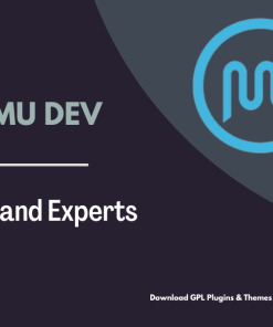 WPMU DEV Jobs and Experts