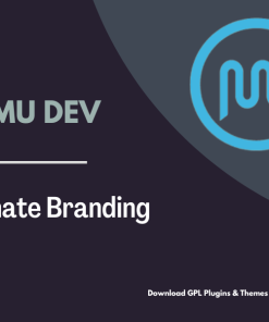 WPMU DEV Ultimate Branding