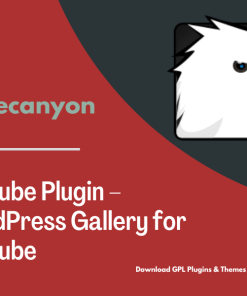 YouTube Plugin – WordPress Gallery for YouTube